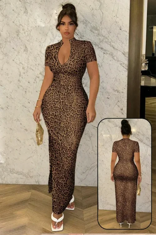 Chic Leopard Print Maxi Dress