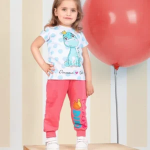 Cute Dinosaur Print Sweatshirt Set
