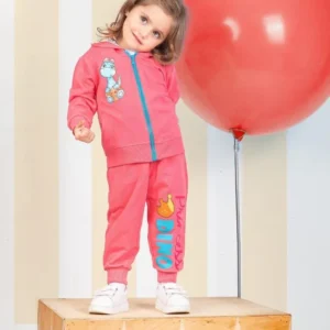 Cute Dinosaur Print Sweatshirt Set