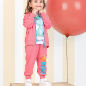 Cute Dinosaur Print Sweatshirt Set