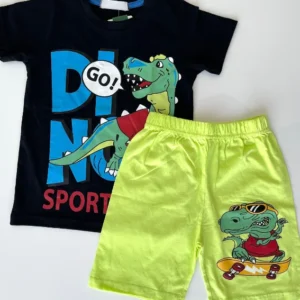 Kids Dino Graphic T-Shirt Set
