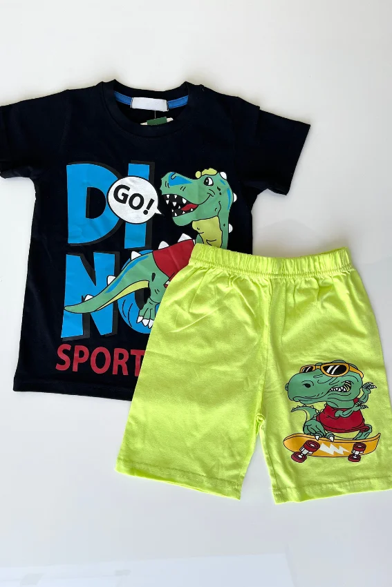 Kids Dino Graphic T-Shirt Set