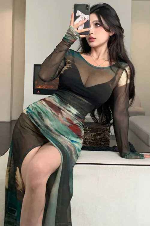 Elegant Long Sleeve Sheer Maxi Dress - Image 2