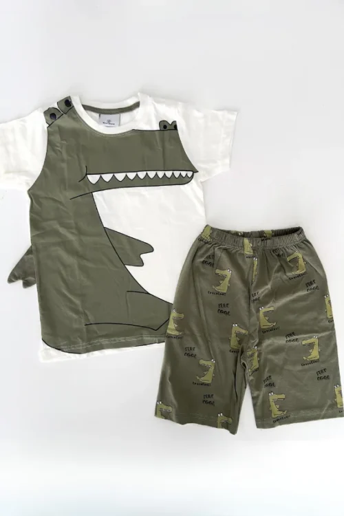 Dinosaur Print Short Sleeve Set