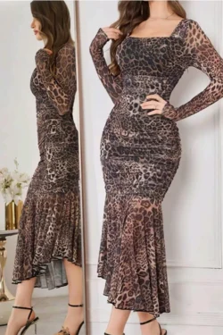 Leopard Print Long Sleeve Dress