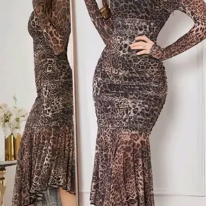 Leopard Print Long Sleeve Dress