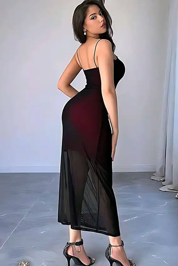Elegant Sheer Spaghetti Strap Dress