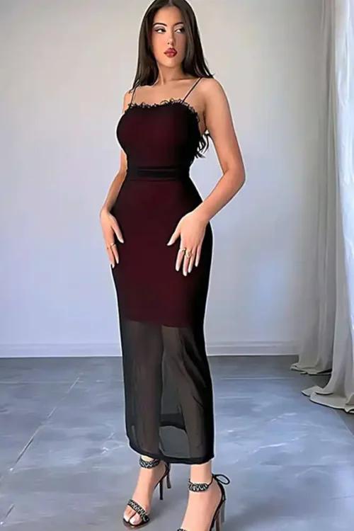 Elegant Sheer Spaghetti Strap Dress