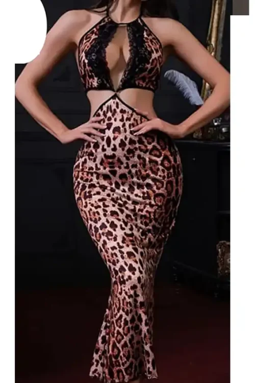 Leopard Print Sleeveless Maxi Dress