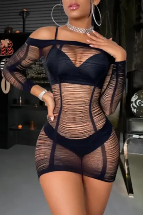 Elegant Sheer Striped Long Sleeve Dress