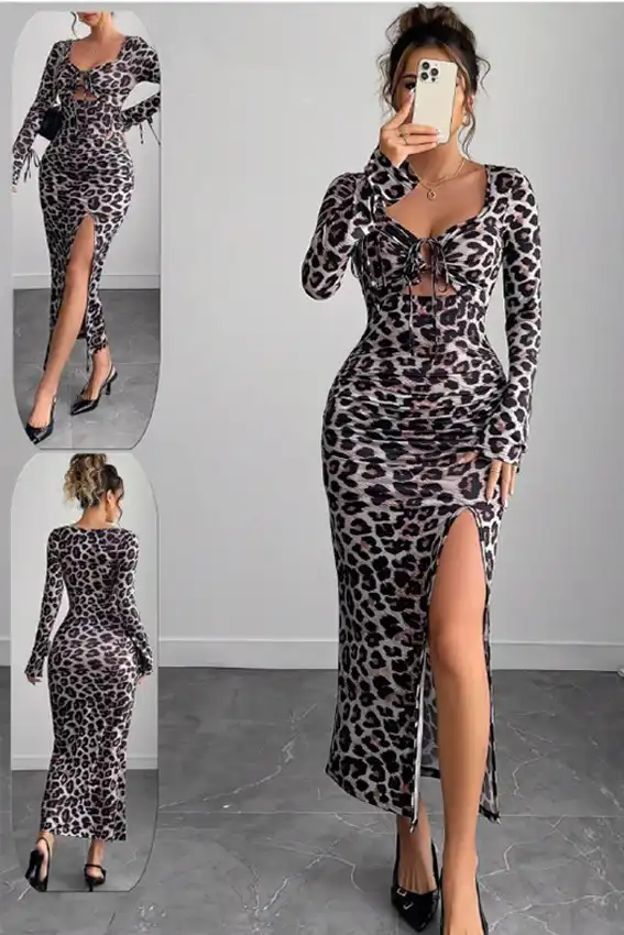 Leopard Print Long Sleeve Dress